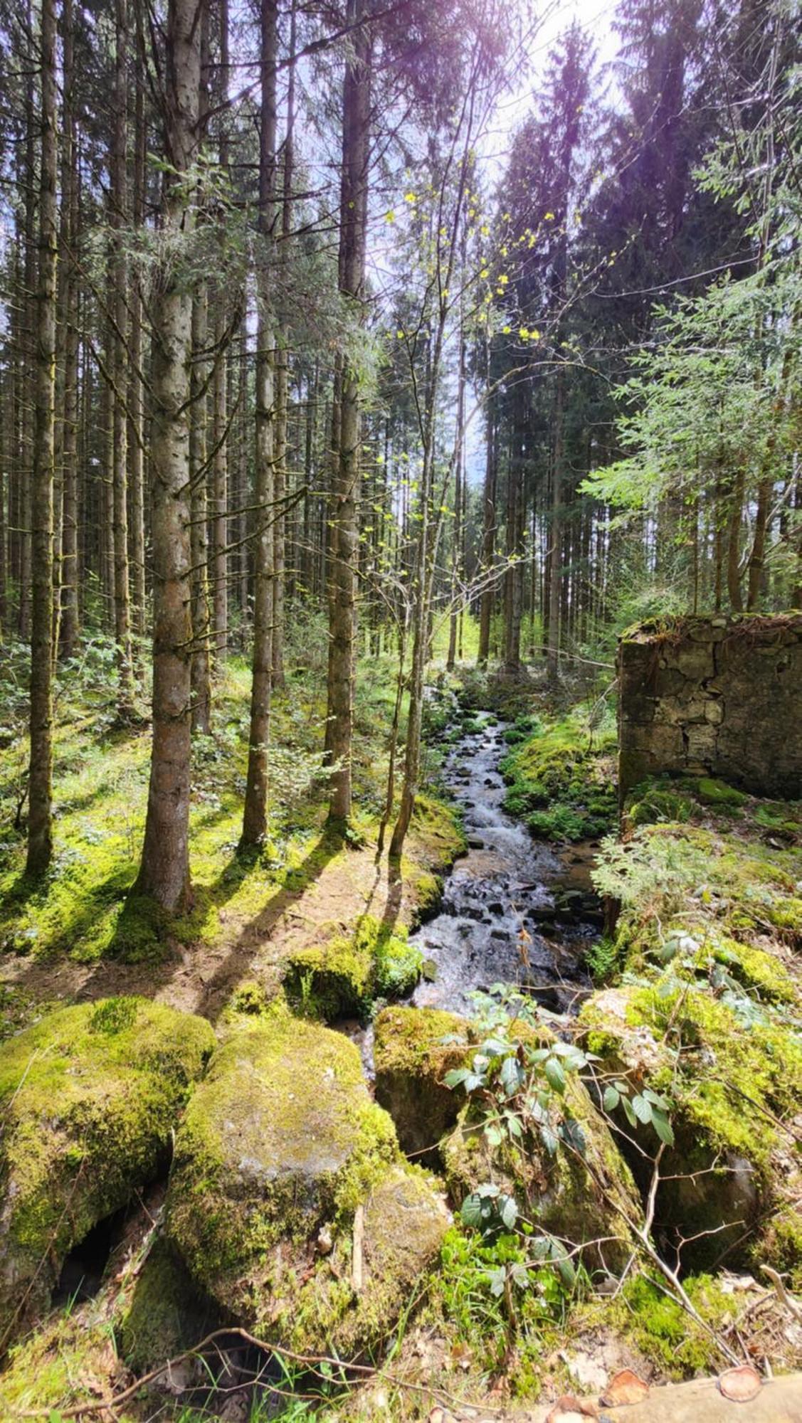 Gerardmer La Villa De Corcieux Exteriér fotografie