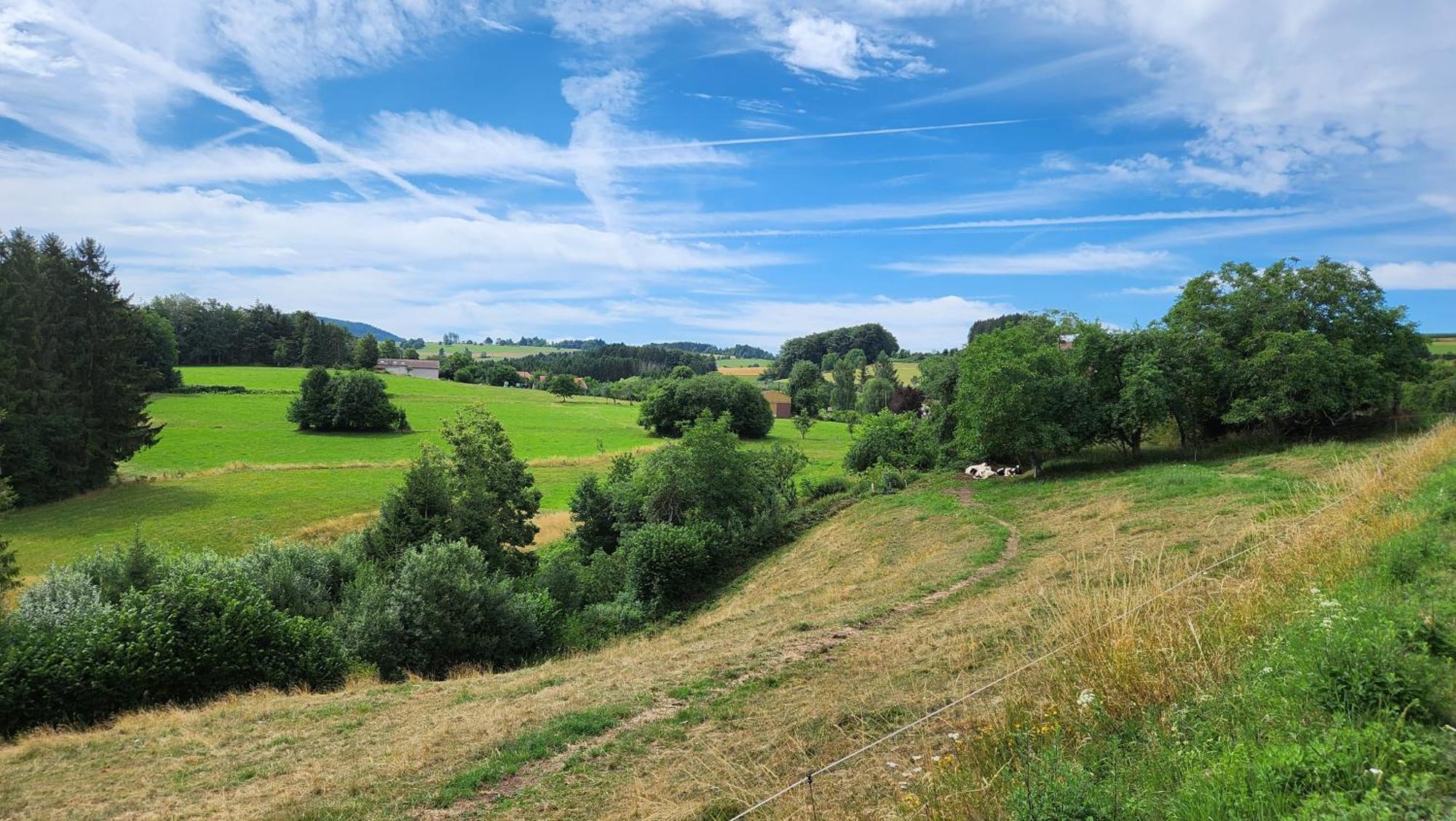 Gerardmer La Villa De Corcieux Exteriér fotografie