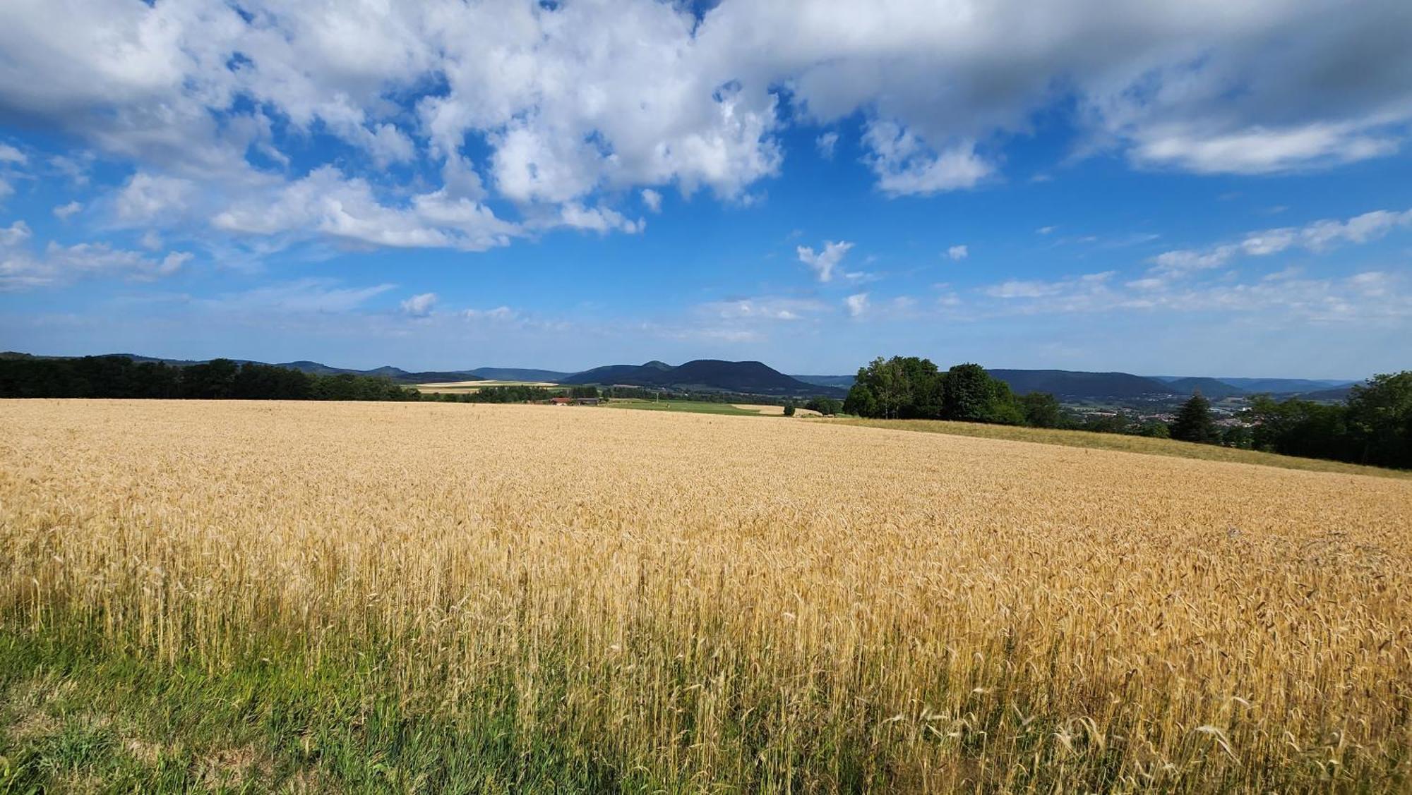Gerardmer La Villa De Corcieux Exteriér fotografie